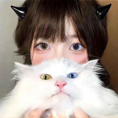 狐狸女士第二季 海报