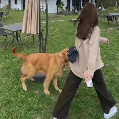 八美图 海报